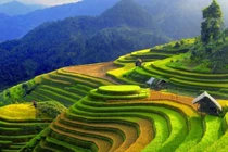 Hẹn gặp nhau ở Mù Cang Chải