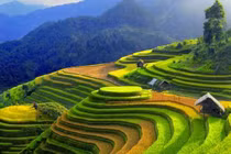 Hẹn gặp nhau ở Mù Cang Chải