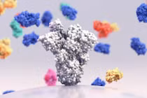 Văcxin được thiết kế xung quanh biến thể SARS-Cov-2 "truyền thống" cung cấp sự bảo vệ tốt nhất 