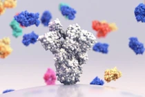 Văcxin được thiết kế xung quanh biến thể SARS-Cov-2 "truyền thống" cung cấp sự bảo vệ tốt nhất 