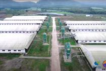 Kon Tum chấp thuận dự án nông nghiệp công nghệ cao trị giá 65 triệu USD 