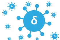 Những đột biến của các biến thể Delta, Delta Plus và giải pháp chống SARS-CoV-2