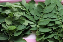 Quan sát rau đúng cách khi mua