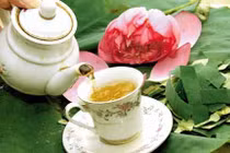 Lá sen: hạ huyết áp, giảm béo phì