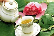 Lá sen: hạ huyết áp, giảm béo phì