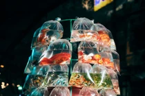 Ảnh xe bán cá ở Việt Nam thắng giải quốc tế