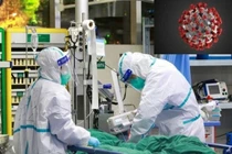 Thử nghiệm vaccine ngừa virus corona trên chuột