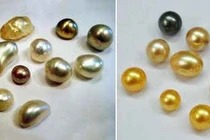 Ngọc trai thiên nhiên được tạo từ vật thể lạ