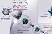 Những công nghệ tiên tiến giúp con người chiến đấu với Covid-19