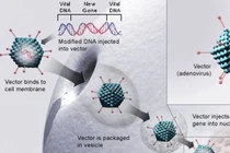 Những công nghệ tiên tiến giúp con người chiến đấu với Covid-19