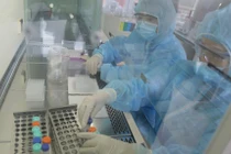 Khán giả đến xem liên hoan xiếc Việt Nam tại Hạ Long là F1 nên tự cách ly