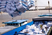 Thủ tướng nhắc nhở một số bộ, ngành về việc tham mưu xuất khẩu gạo