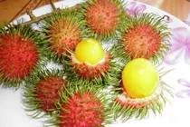 Chôm chôm hoang dại làm náo loạn thị trường