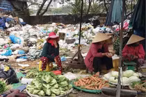 Cảnh báo dịch hạch xuất hiện