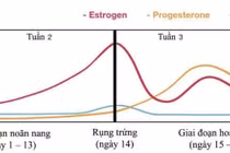 Sẩy thai do hoàng thể ngắn và yếu