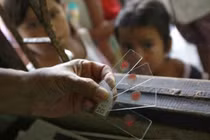 Sốt rét đa kháng thuốc - Mối lo ngại ngày càng tăng