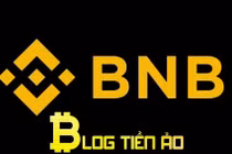 Đồng Binance coin (BNB) là tiền ảo tăng mạnh nhất trong năm nay đã vượt Bitcoin, khoảng 1.300%. 