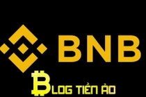 Đồng Binance coin (BNB) là tiền ảo tăng mạnh nhất trong năm nay đã vượt Bitcoin, khoảng 1.300%. 