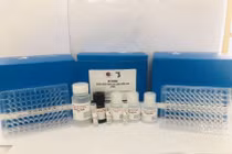 Kit chẩn đoán suy giáp bẩm sinh