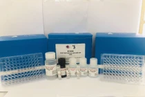 Kit chẩn đoán suy giáp bẩm sinh