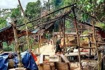 Thừa Thiên Huế: Khai thác vàng trái phép giữa lõi rừng phòng hộ