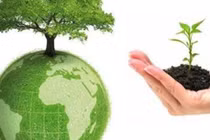 Báo cáo đánh giá tác động môi trường: Cần quy định cụ thể về công khai thông tin