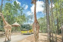 Hà Nội chuẩn bị có Vinpearl Land rộng 80ha tại Gia Lâm kết hợp Safari dưới nước và trên cạn