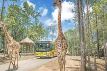 Hà Nội chuẩn bị có Vinpearl Land rộng 80ha tại Gia Lâm kết hợp Safari dưới nước và trên cạn