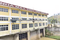 Nuốt rừng làm thủy điện, "quên" trồng bù