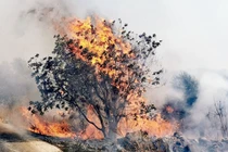 Trả đũa thánh chiến Palestine tấn công tên lửa, Israel pháo kích ác liệt vào Lebanon 
