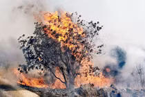 Trả đũa thánh chiến Palestine tấn công tên lửa, Israel pháo kích ác liệt vào Lebanon 