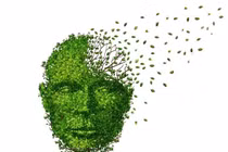 Chứng mất trí có liên quan đến chức năng thận kém?