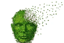 Chứng mất trí có liên quan đến chức năng thận kém?