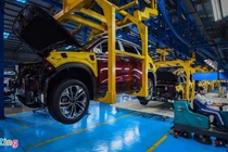 Giảm 50% lệ phí trước bạ với ôtô từ hôm nay