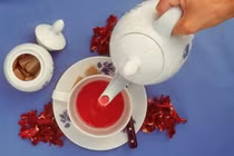 Chọn dùng thảo dược mùa xuân tránh bệnh cho cả năm