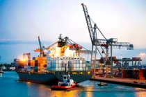 T&T Group tiếp tục tạo dấu ấn trên thị trường nông nghiệp giữa đại dịch Covid-19