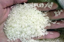 Cấp cứu vì nghi ăn phải gạo tẩm thuốc diệt chuột