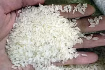 Cấp cứu vì nghi ăn phải gạo tẩm thuốc diệt chuột