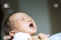 Nguy cơ nhiễm CMV từ mẹ sang thai nhi