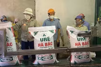 Đạm Hà Bắc: Bĩ cực đã đến thái lai?