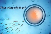 Thuốc kích thích tinh trùng phát triển