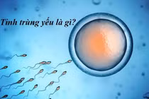 Thuốc kích thích tinh trùng phát triển