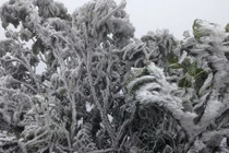 Rét hại ngắn ngày, miền Bắc đón nắng ấm kéo dài