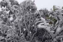 Rét hại ngắn ngày, miền Bắc đón nắng ấm kéo dài