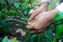 Kìm chiết 3 trong 1