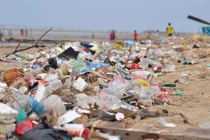 Từ chối túi nilon để giữ cho biển đẹp