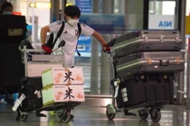 Đoàn tiền trạm đội tuyển Nhật Bản đến Hà Nội lặng lẽ trong đêm