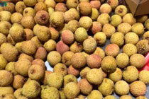 Lô vải tươi Việt Nam đầu tiên đã cập bến Nhật Bản