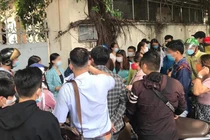 Sập sàn giao dịch bảo hiểm Coolcat: 600 người nộp đơn trình báo bị lừa 200 tỷ đồng