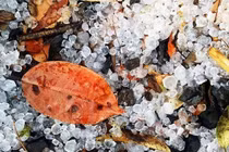 2020 Việt Nam có thể dự báo vòi rồng, mưa đá